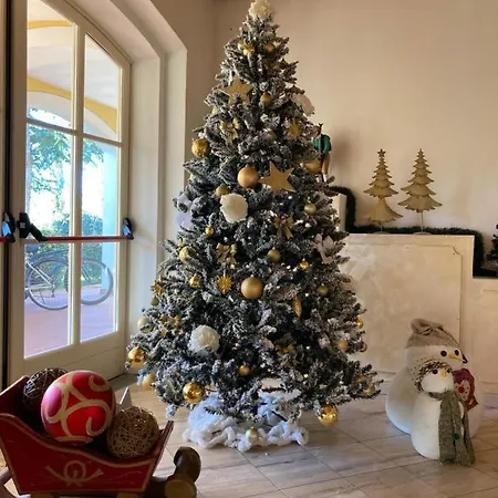 Vedute Fucecchio